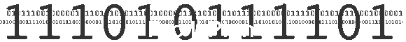 Pro II Plan